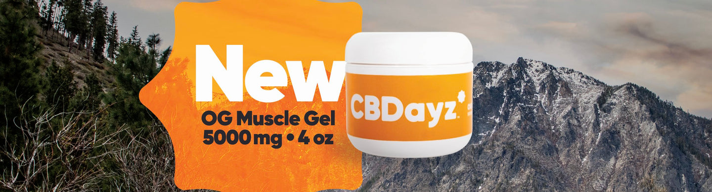 CBD Topicals | Gels, Lotions, Creams & Salve Sticks