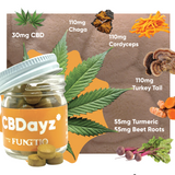 CBDayz X Fungtio Mushroom Tablets 1500mg