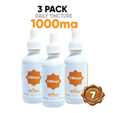 CBDayz -Daily Tincture 1000mg 3 Pack
